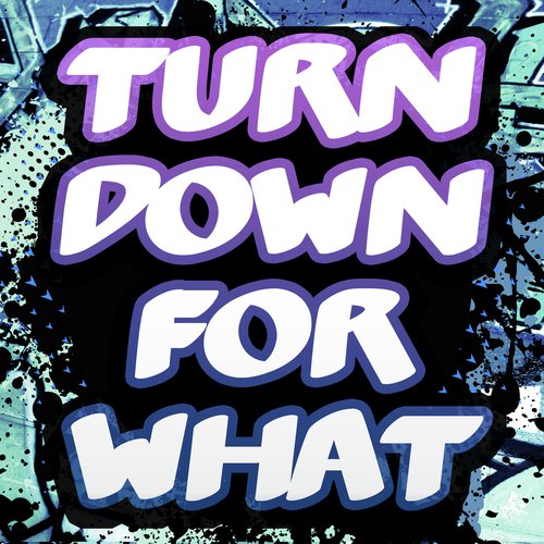 Turn Down For What (Originally Performed by DJ Snake and Lil Jon) (Karaoke Version)