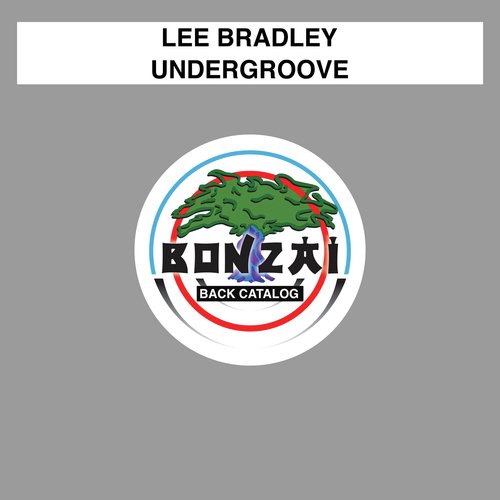 Undergroove (Original Mix)