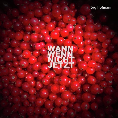 Wann wenn nicht jetzt cover art