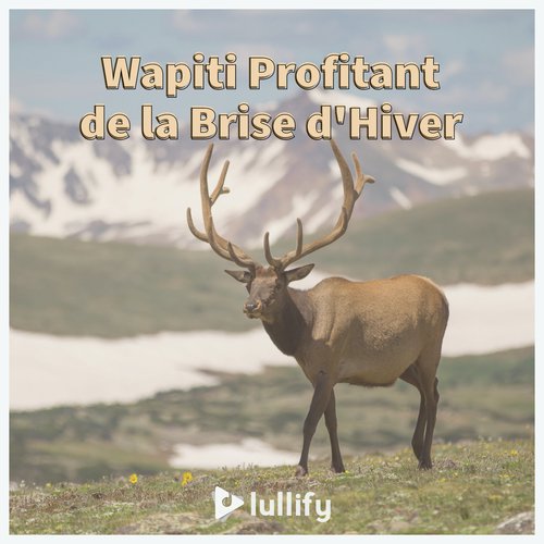 Préserver la faune cover art