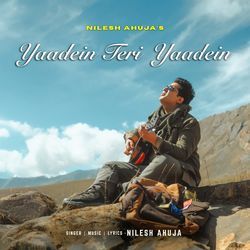 Yaadein Teri Yaadein