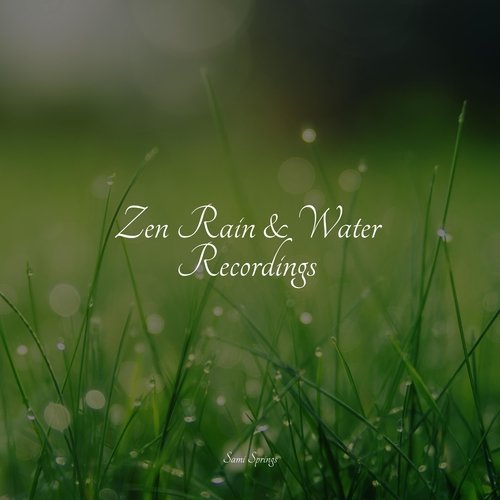 Zen Rain &amp; Water Recordings_poster_image