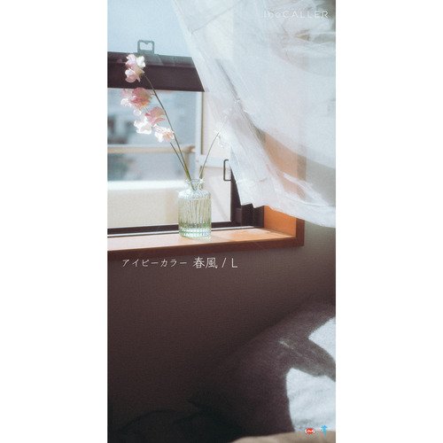 l cover art