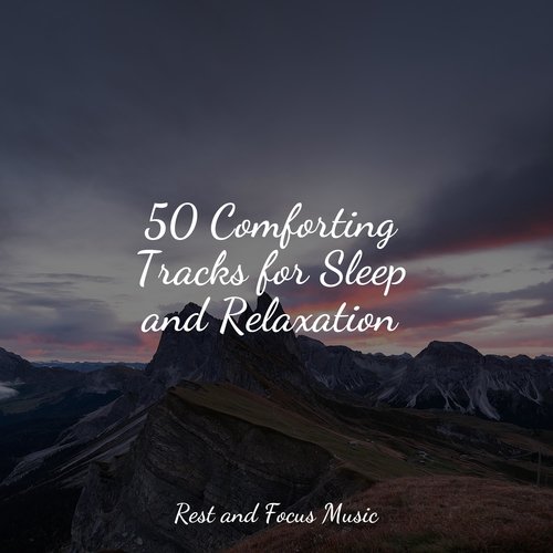 50 Comforting Tracks for Sleep and Relaxation