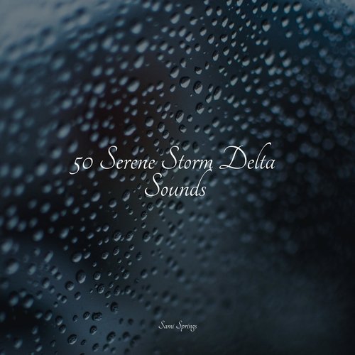 50 Serene Storm Delta Sounds_poster_image