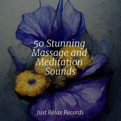 50 Stunning Massage and Meditation Sounds