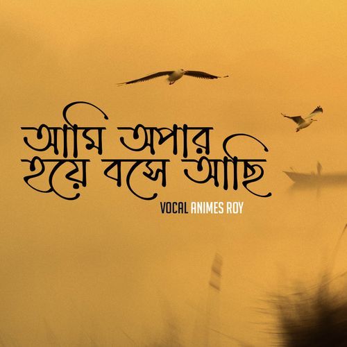 Ami Opar Hoye Boshe Achi
