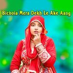 Bichola Mera Dekh Le Ake Aang