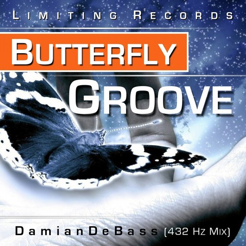 Butterfly Groove cover art