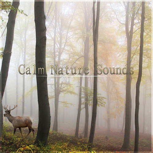 Deep Sleep cover art