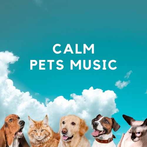 Kittens cover art