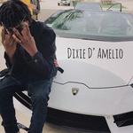 Dixie D' Amelio