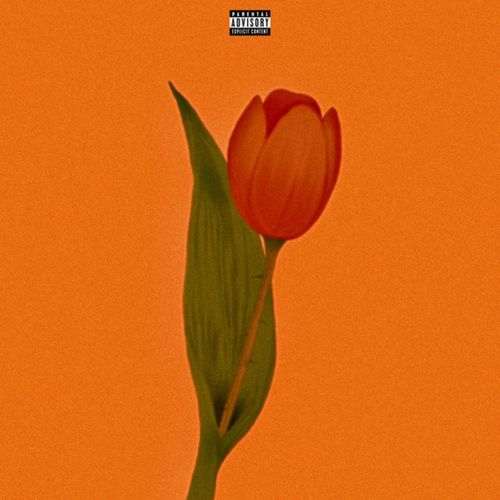 Francesco cover art