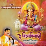 Hey Vighnavinaashi