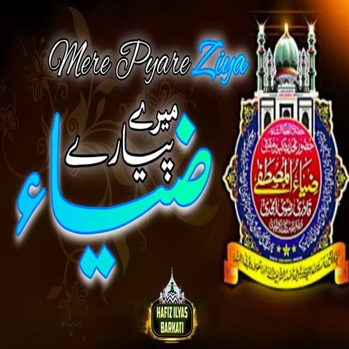 MERE PYARE ZIYA