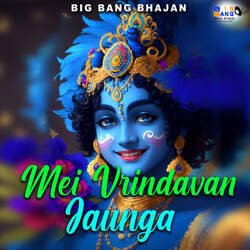 Mei Vrindavan Jaunga-JA8qcz9yBVQ