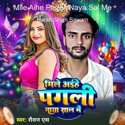 Mile Aihe Pagali Naya Sal Me
