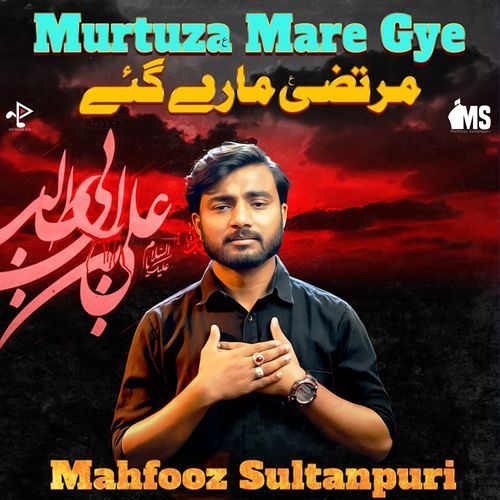 Murtaza Mare Gaye