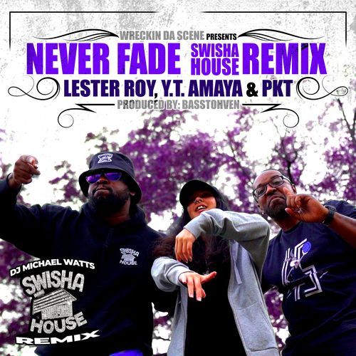 Never Fade (SwishaHouse Remix)