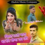 Pittal Chati Maya Bhar Denge Meena Ke Chore