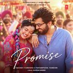 Promise artwork