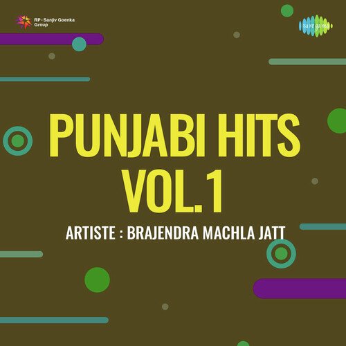 Punjabi Hits Vol 1