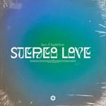 Stereo Love (Techno Mix)