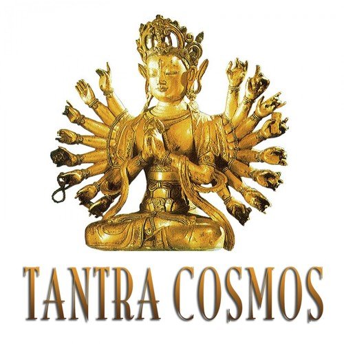 Tantra Cosmos_poster_image