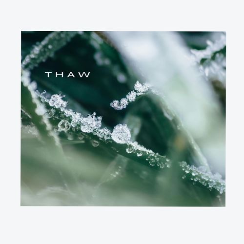 Thaw (Solo Version) cover art