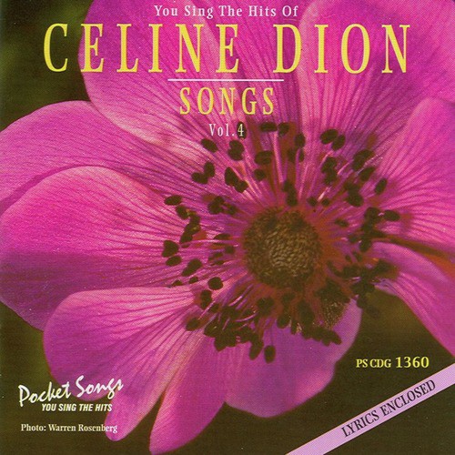 Best Of Celine Dion English Songs