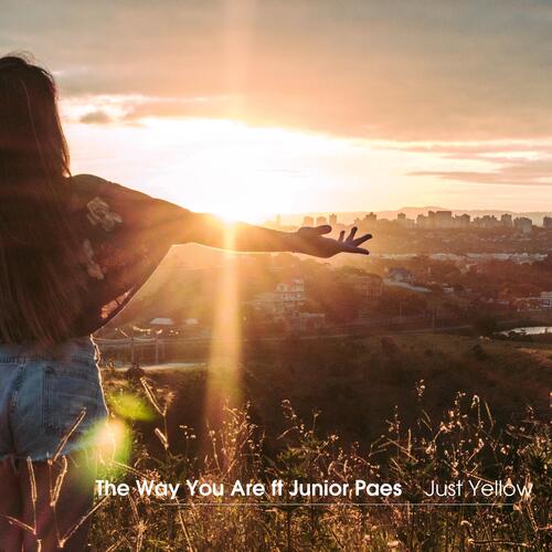 The Way You Are (feat. Junior Paes)_poster_image