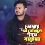 Tomay Na Dekhile Pane Besena