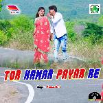 Tor Hamar Pyar Re