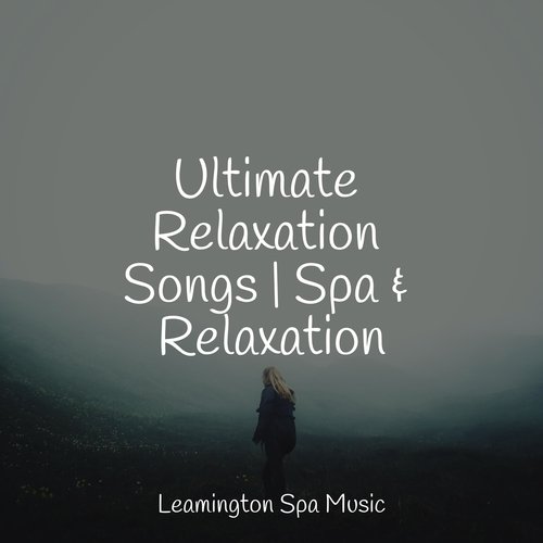 Massage Therapy cover art