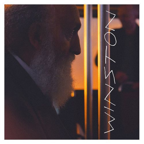 Winston cover art