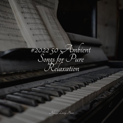 #2022 50 Ambient Songs for Pure Relaxation