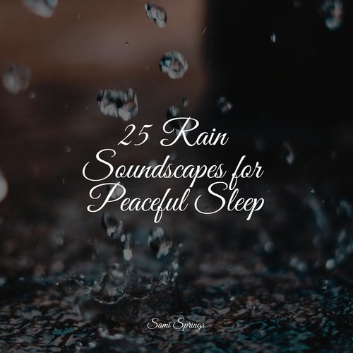 25 Rain Soundscapes for Peaceful Sleep