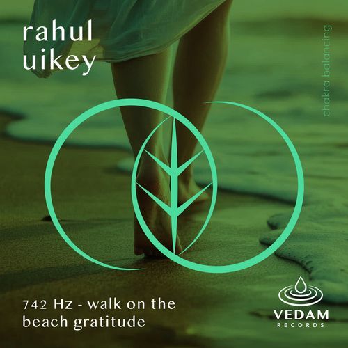 742 Hz - Walk on the Beach Gratitude