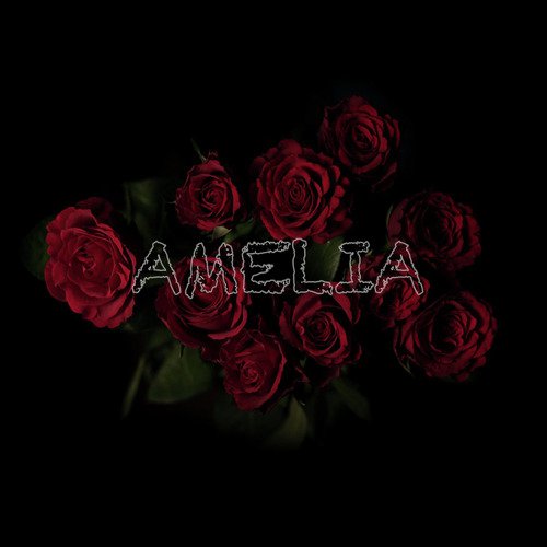 Amelia_poster_image