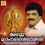 Shyleswari M