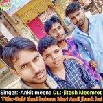 Babi thari bahana Mari Audi jhank hai (Meena geet)