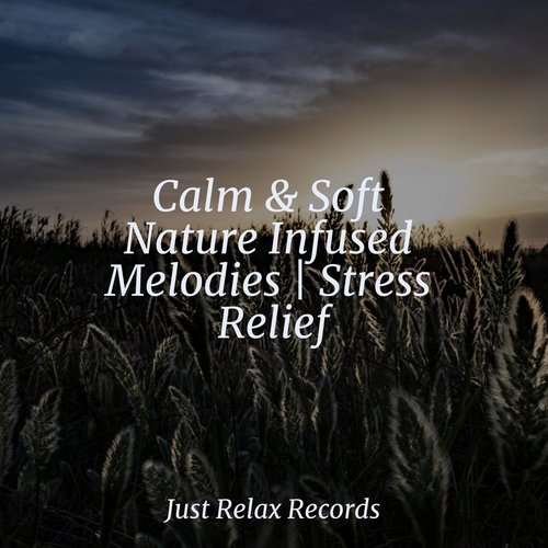 Calm & Soft Nature Infused Melodies | Stress Relief