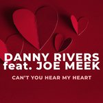 Can't You Hear My Heart