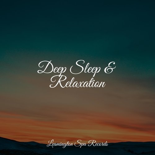 Deep Sleep & Relaxation