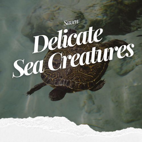 Delicate Sea Creatures