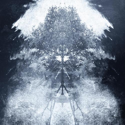 Patient Zero cover art