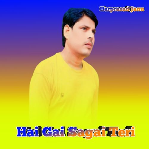 Hai Gai Sagai Teri