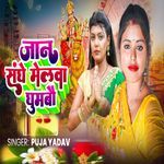 Jaan Sanghe Melwa Ghumbo