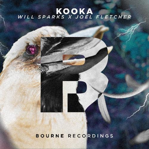 Kooka_poster_image