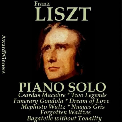 Liszt, Vol. 6 : Piano Solo (AwardWinners)_poster_image